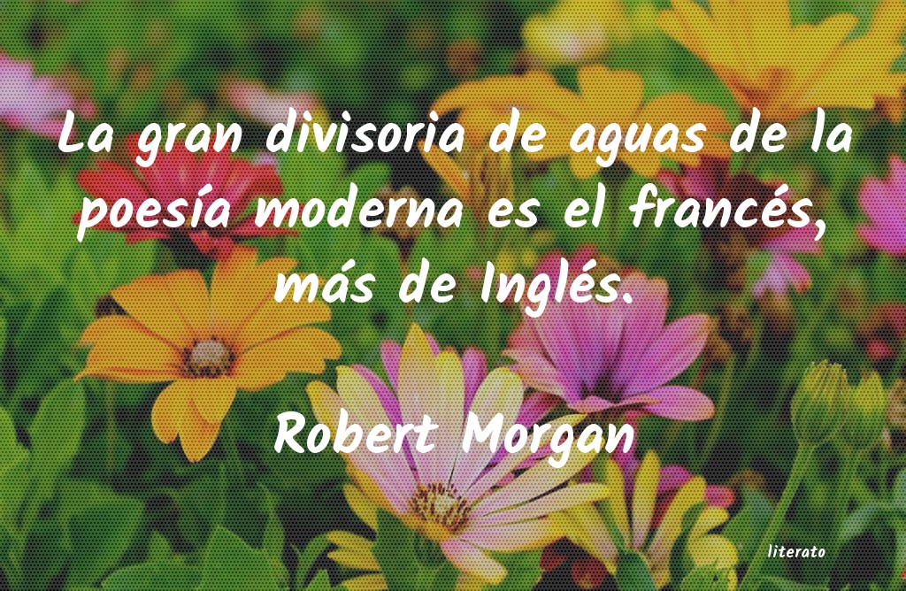 Frases de Robert Morgan