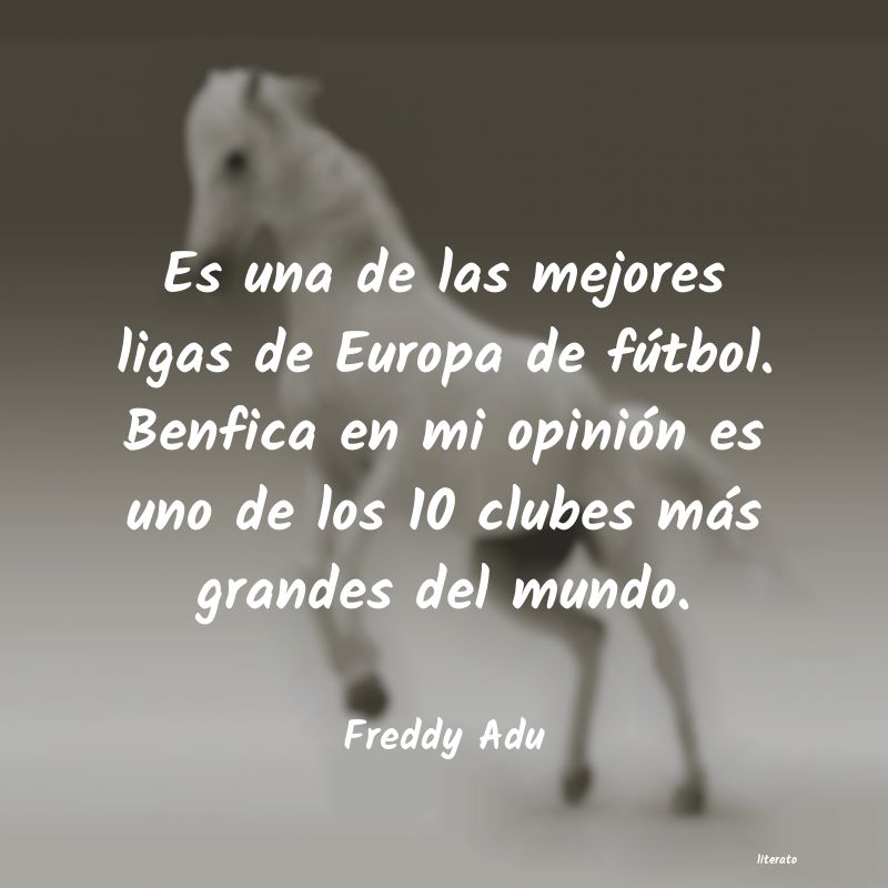 frases de Freddy Adu