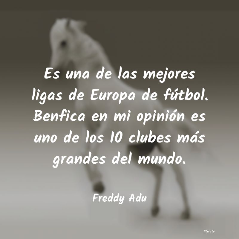 Frases de Freddy Adu