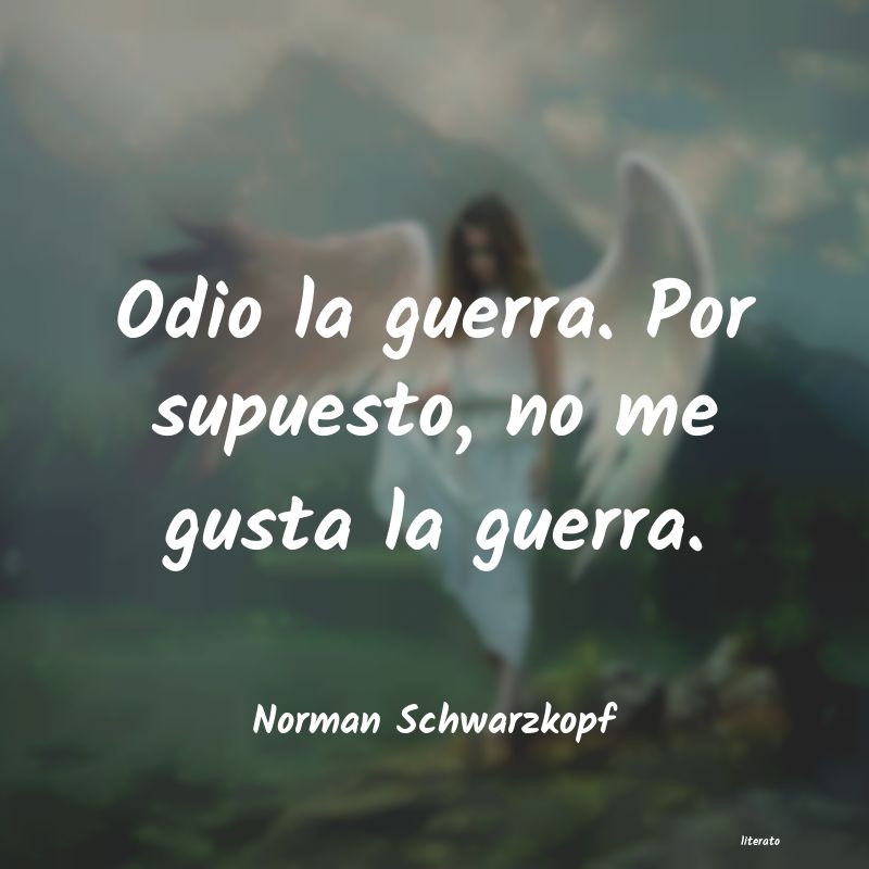 frases de Norman Schwarzkopf