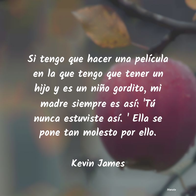 Frases de Kevin James