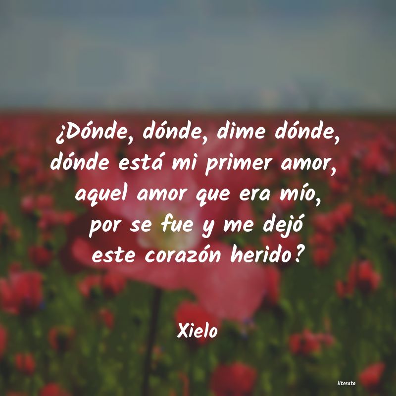 frases de Xielo