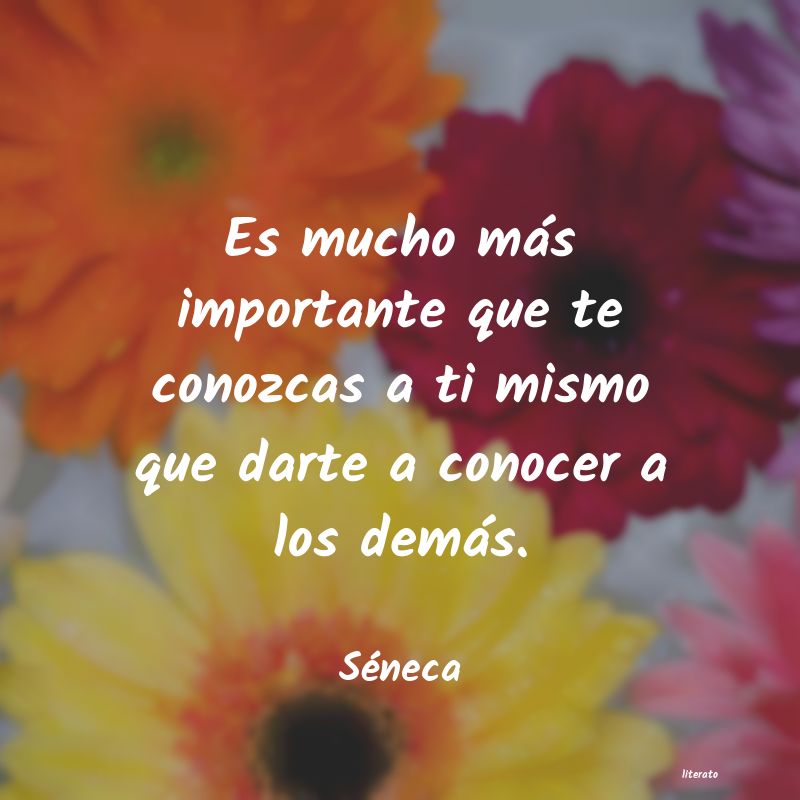 querer conocer