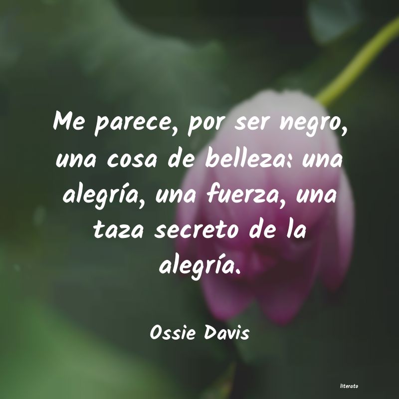 frases de Ossie Davis