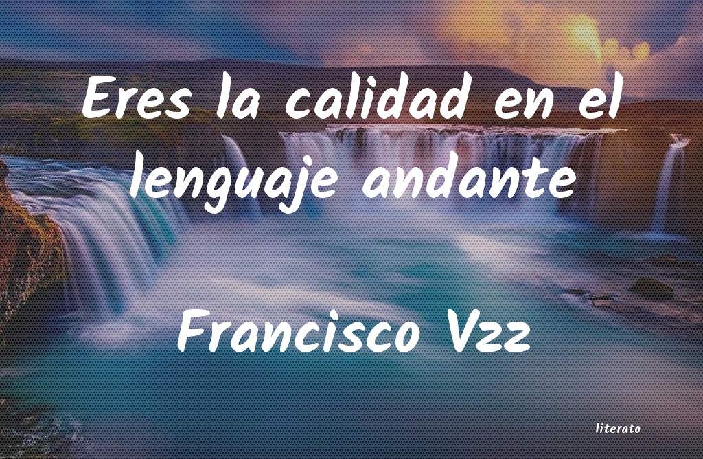 Frases de Francisco Vzz