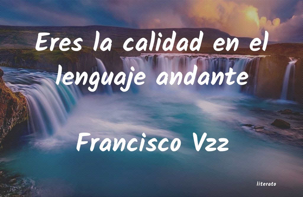 frases de Francisco Vzz
