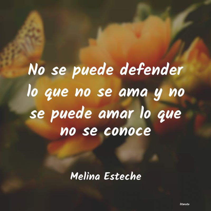 Frases de Melina Esteche