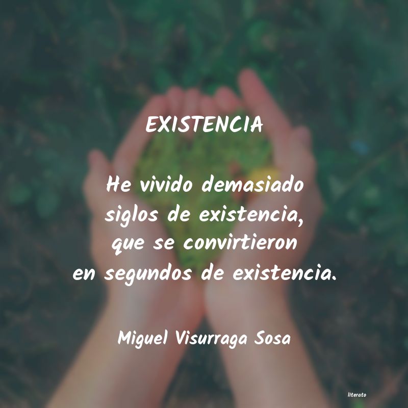 frases de Miguel Visurraga Sosa