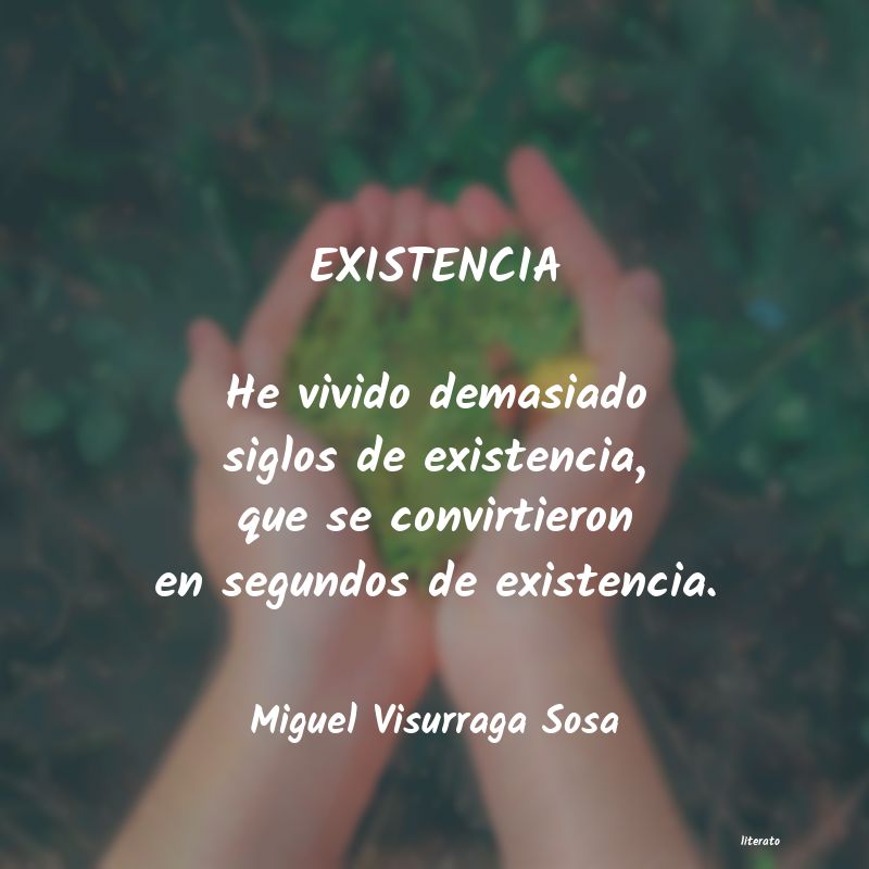 Frases de Miguel Visurraga Sosa