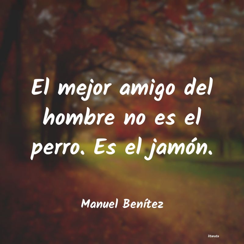 Frases de Manuel Benítez