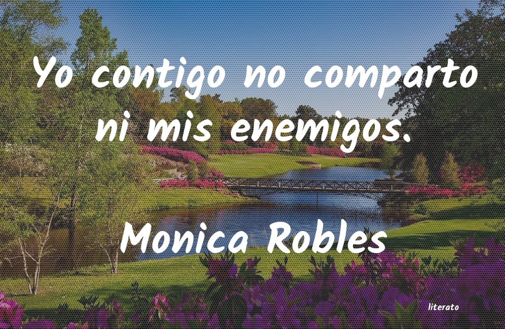 Frases de Monica Robles