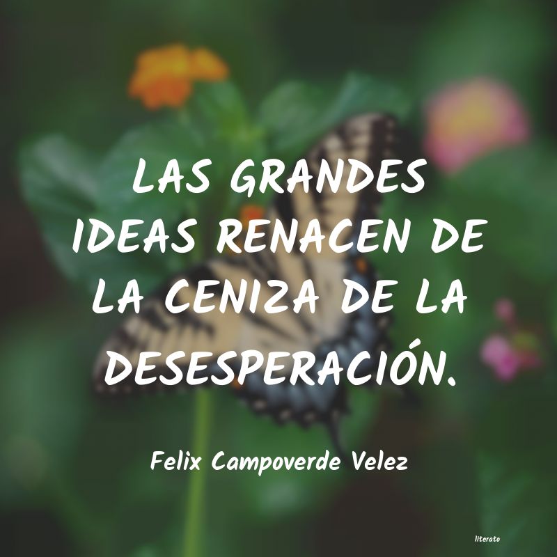 frases de Felix Campoverde Velez