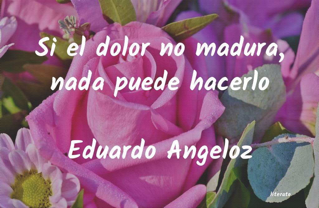 frases de Eduardo Angeloz