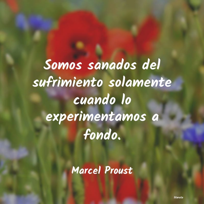 frases sobre el sufrimiento proust