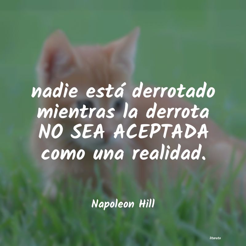 Frases de Napoleon Hill