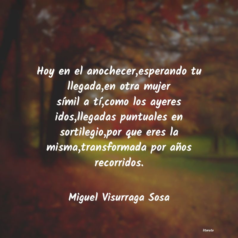 Frases de Miguel Visurraga Sosa