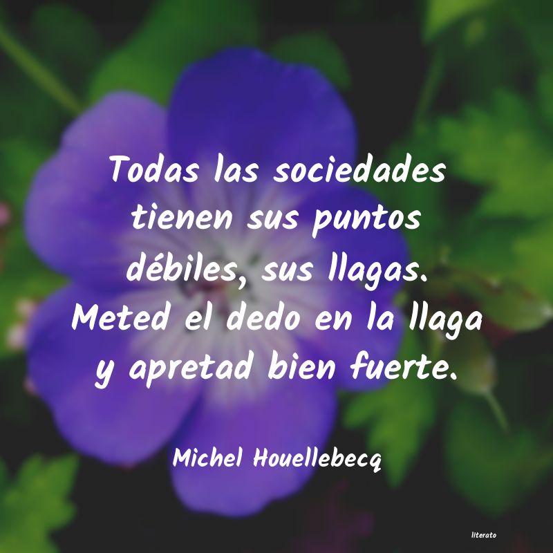 Frases de Michel Houellebecq