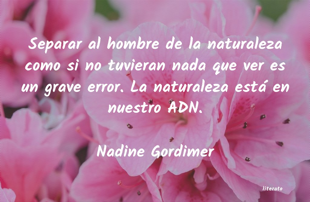 Frases de Nadine Gordimer