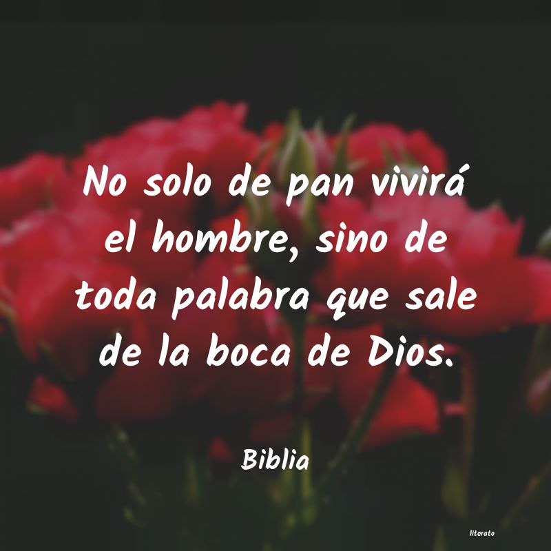 Frases de Biblia