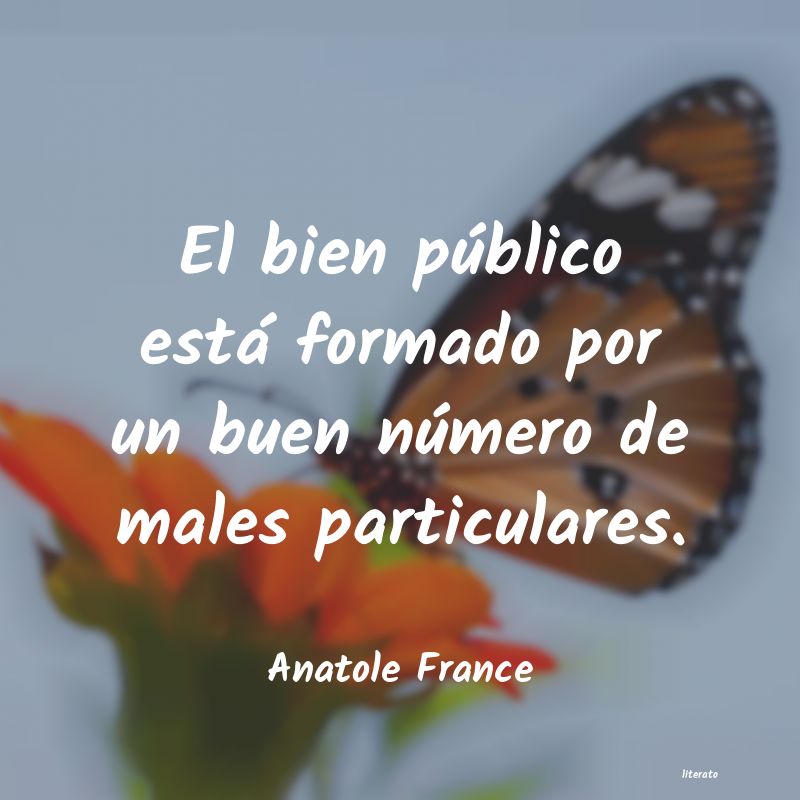 Frases de Anatole France