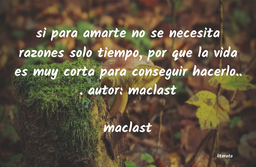 frases de maclast