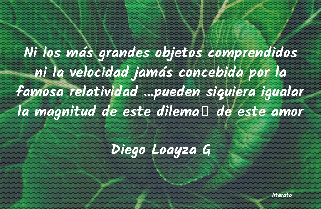 frases de Diego Loayza G