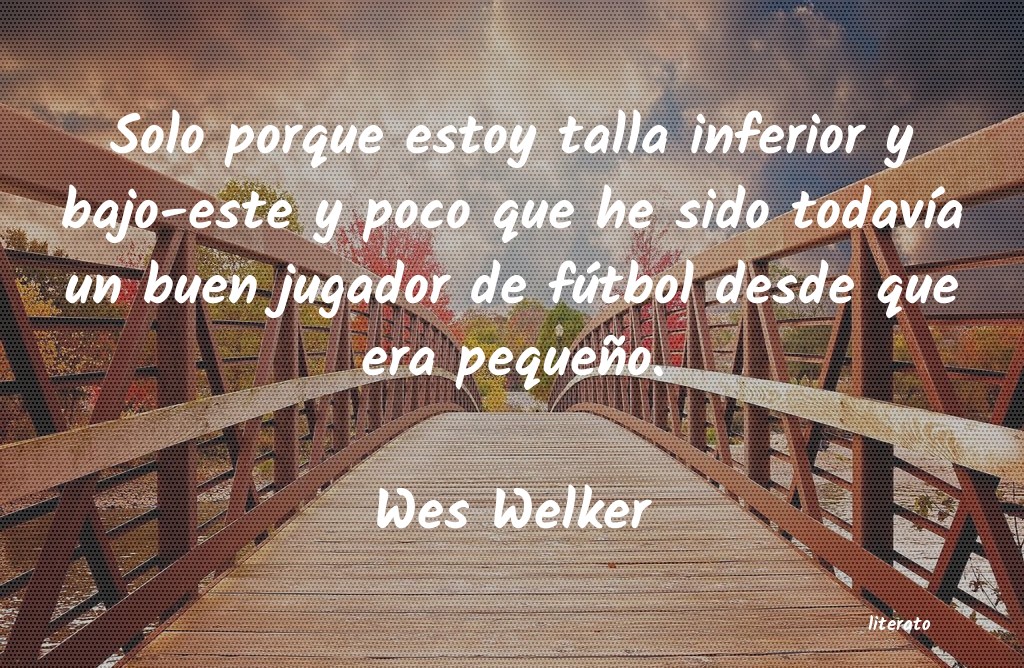 Frases de Wes Welker