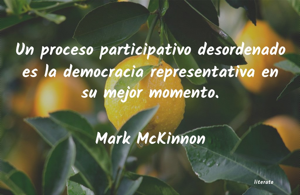 Frases de Mark McKinnon