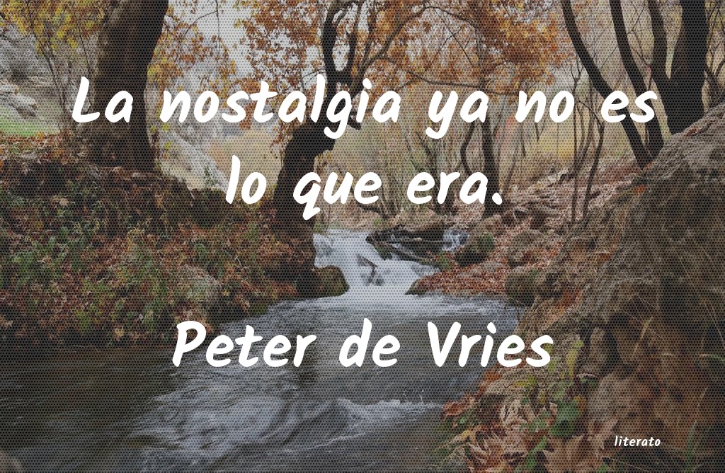 frases de Peter de Vries