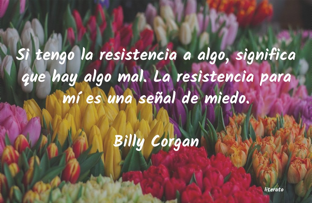 Frases de Billy Corgan