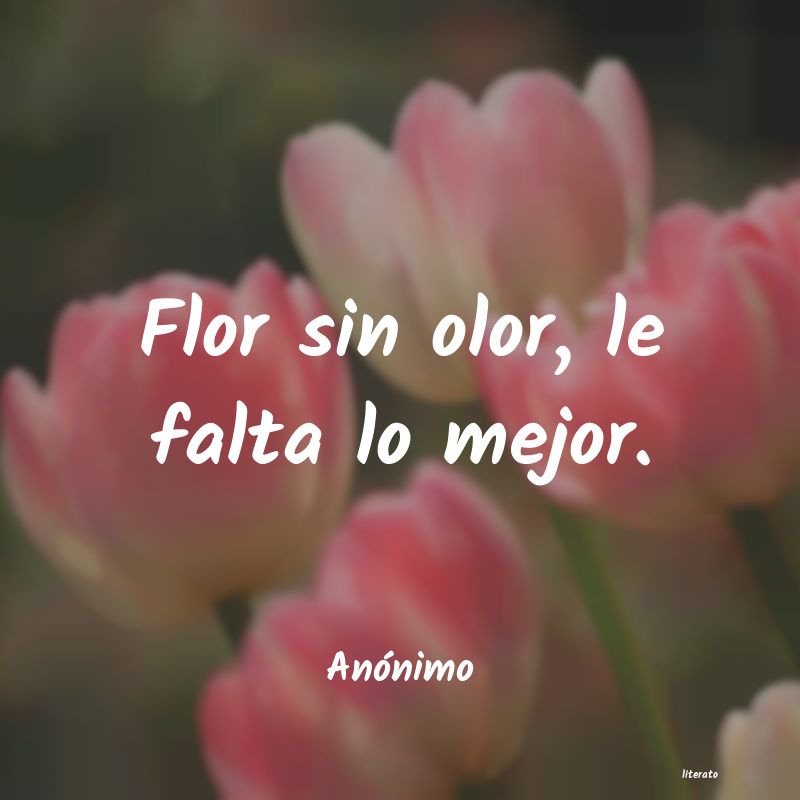 frases