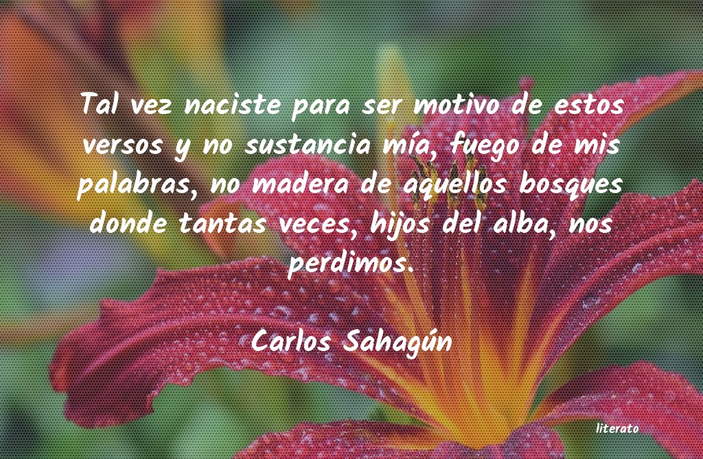 Frases de Carlos Sahagún