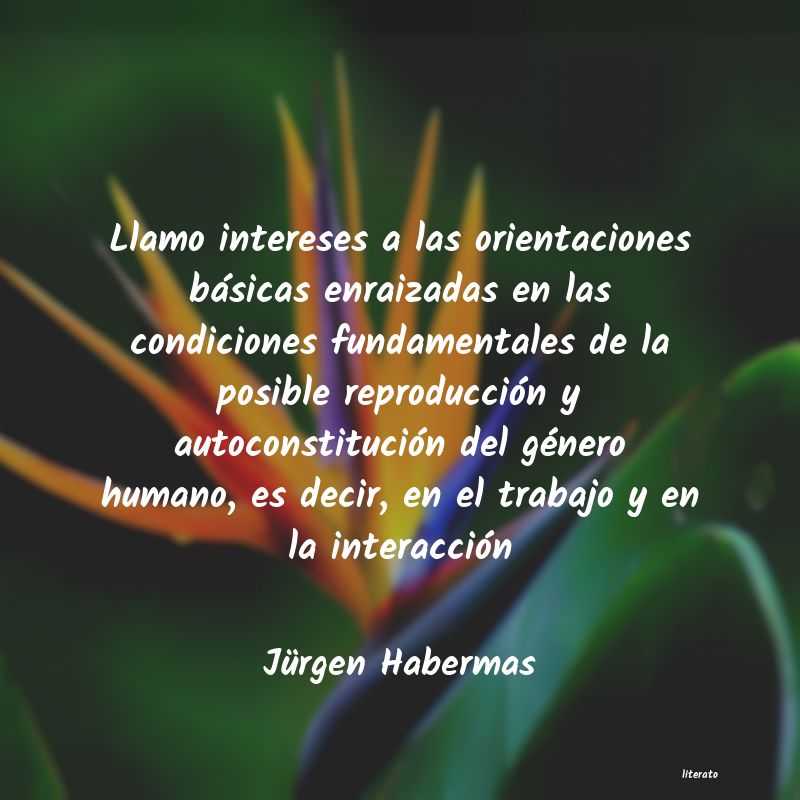 Frases de Jürgen Habermas