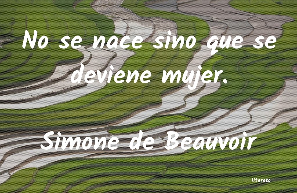 Frases de Simone de Beauvoir