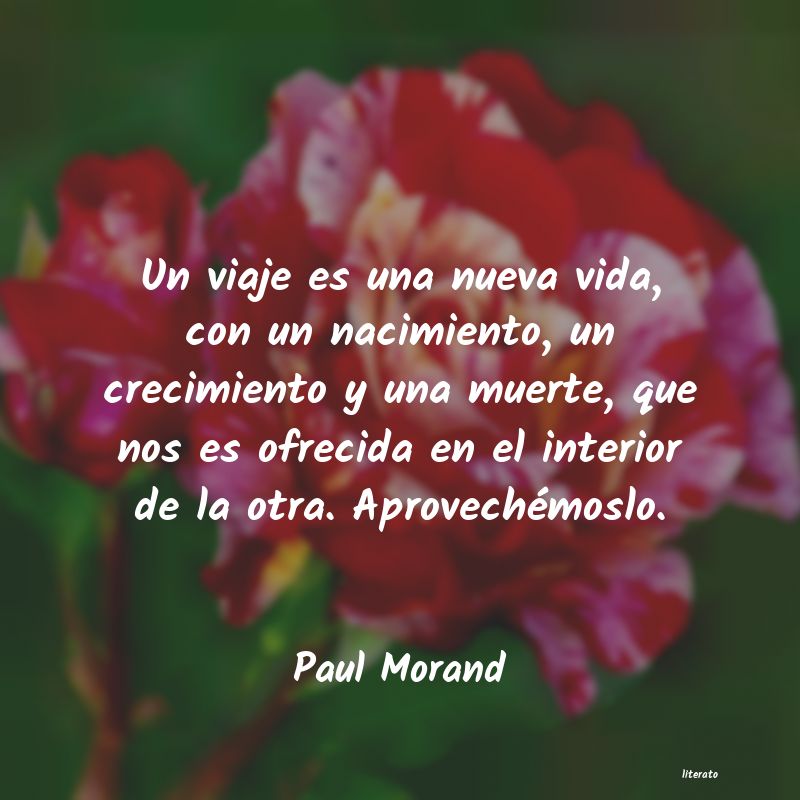 Frases de Paul Morand