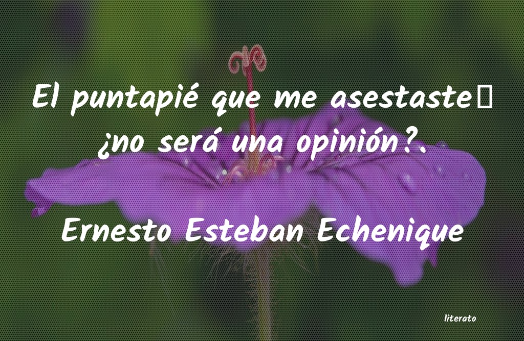 frases de Ernesto Esteban Echenique