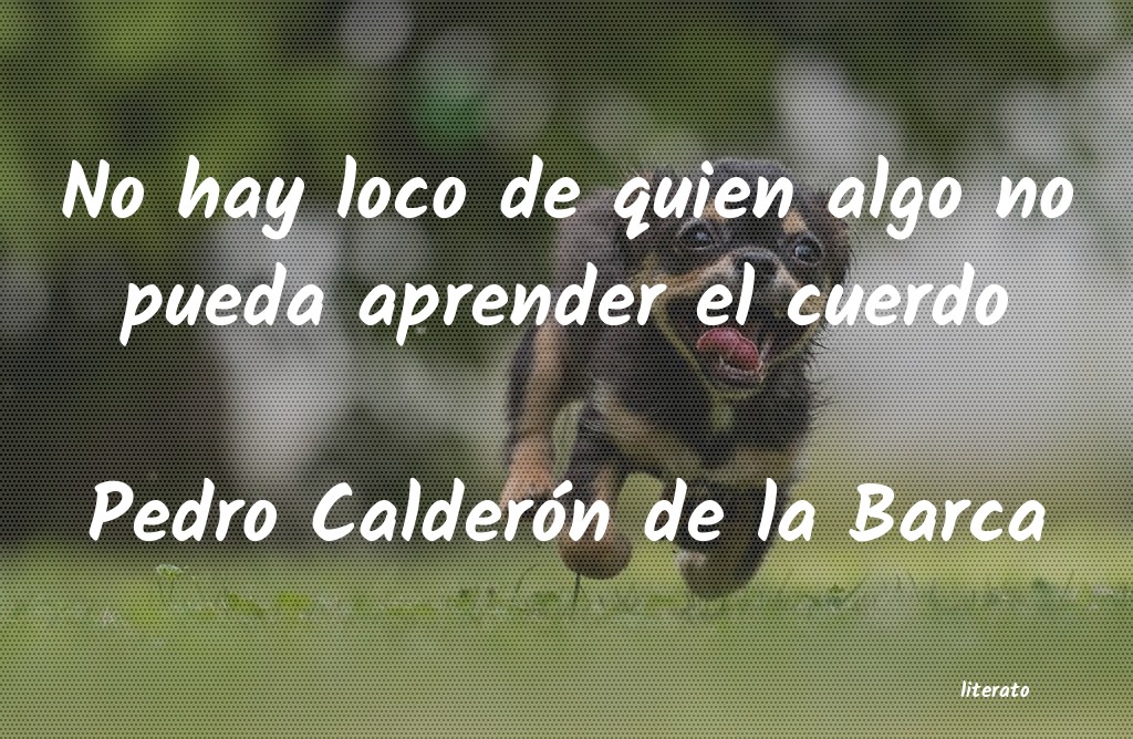 frases de Pedro Calderón de la Barca