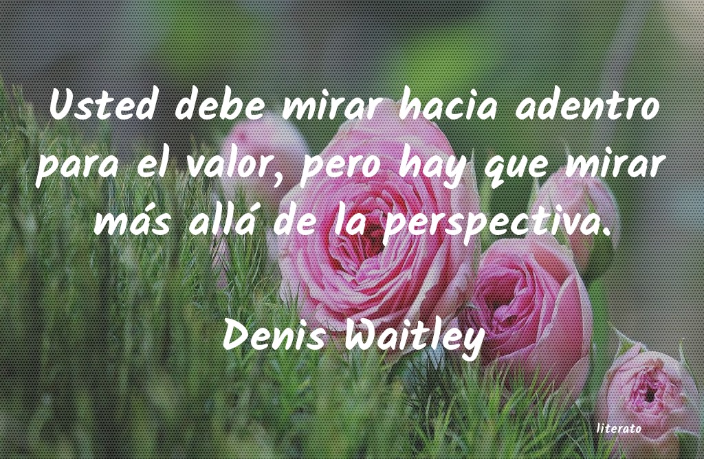 Frases de Denis Waitley