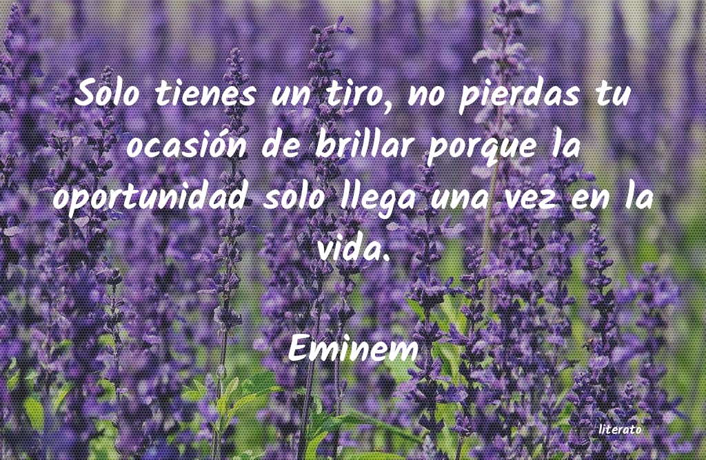 Frases de Eminem