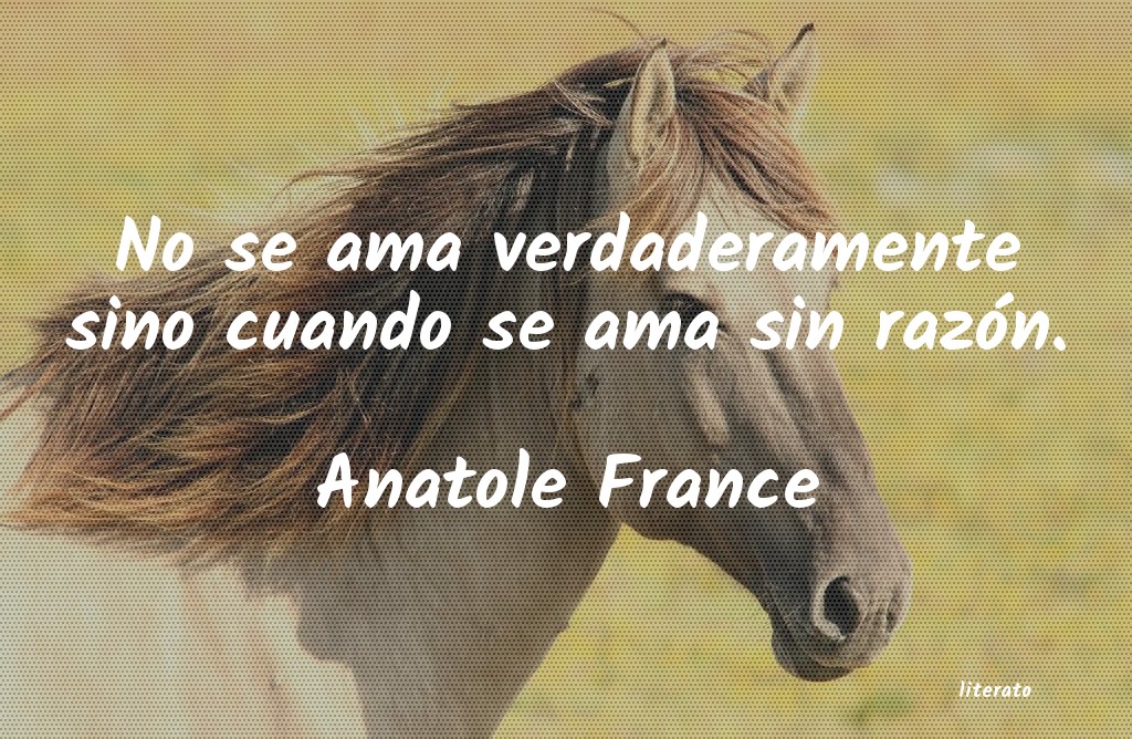 frases de Anatole France