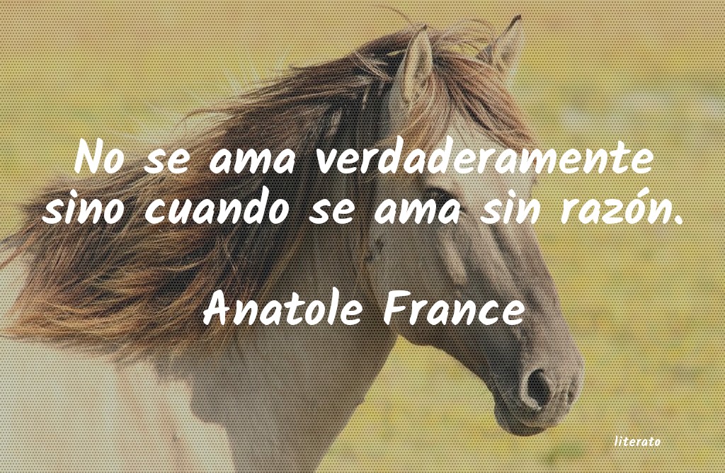 Frases de Anatole France