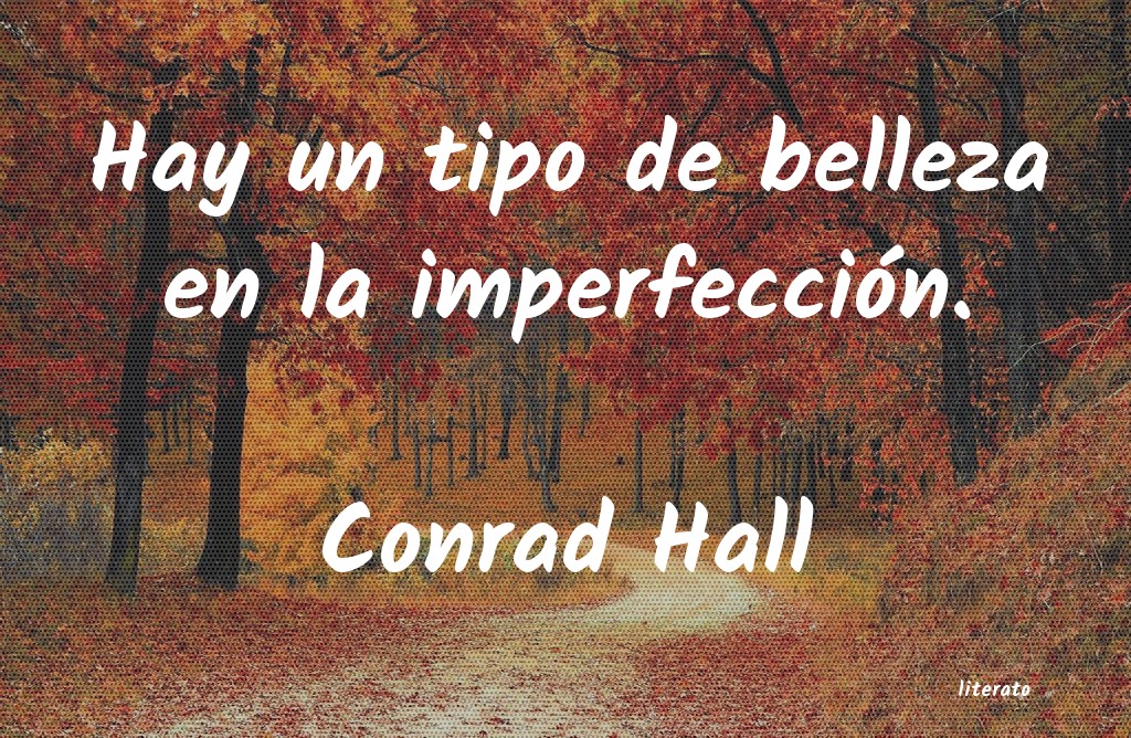 Frases de Conrad Hall