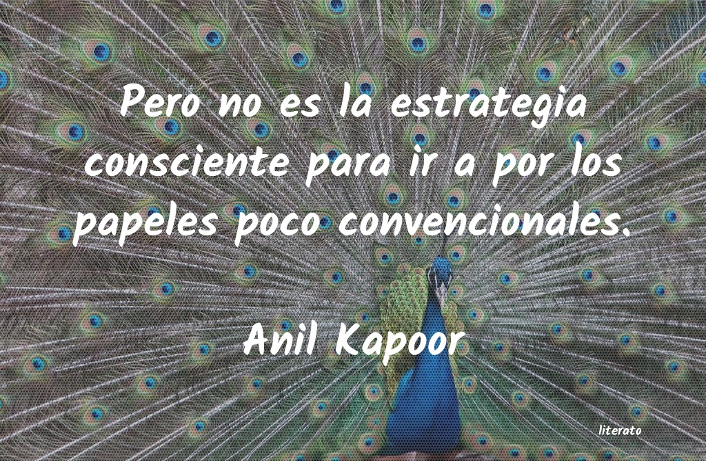 Frases de Anil Kapoor