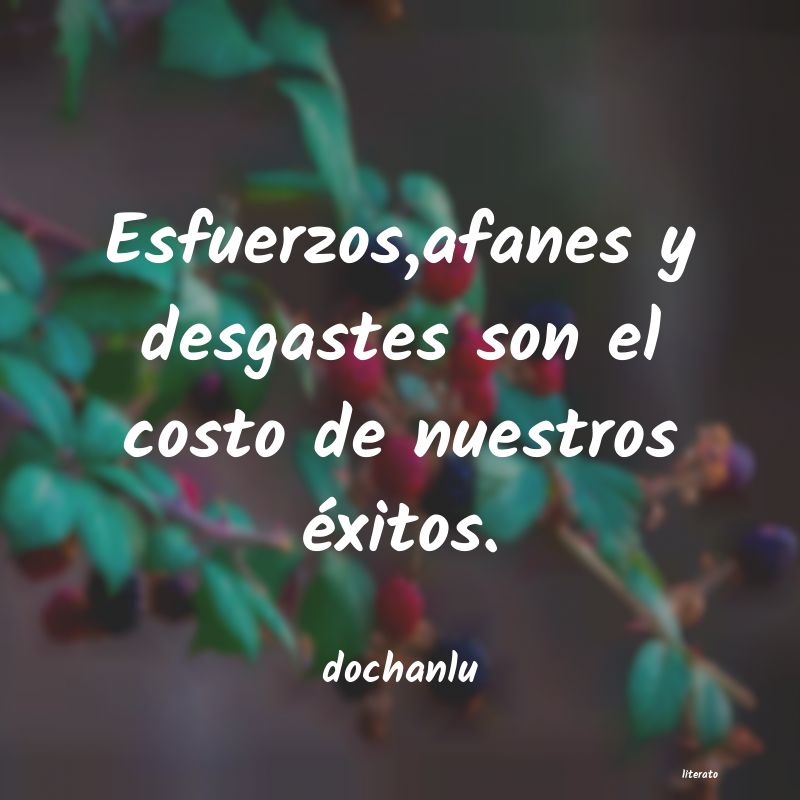 Frases de dochanlu