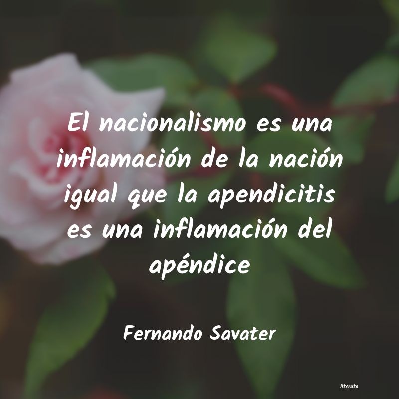 Frases de Fernando Savater