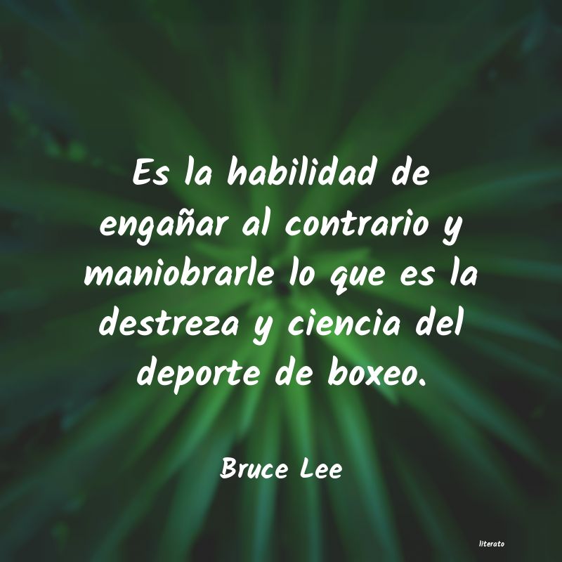 frases de Bruce Lee