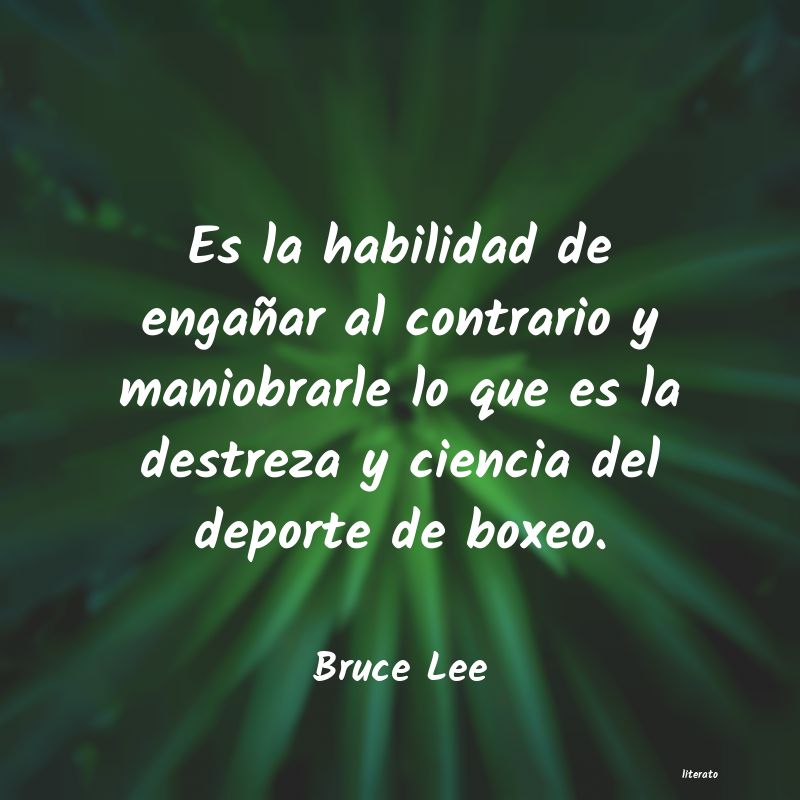 Frases de Bruce Lee