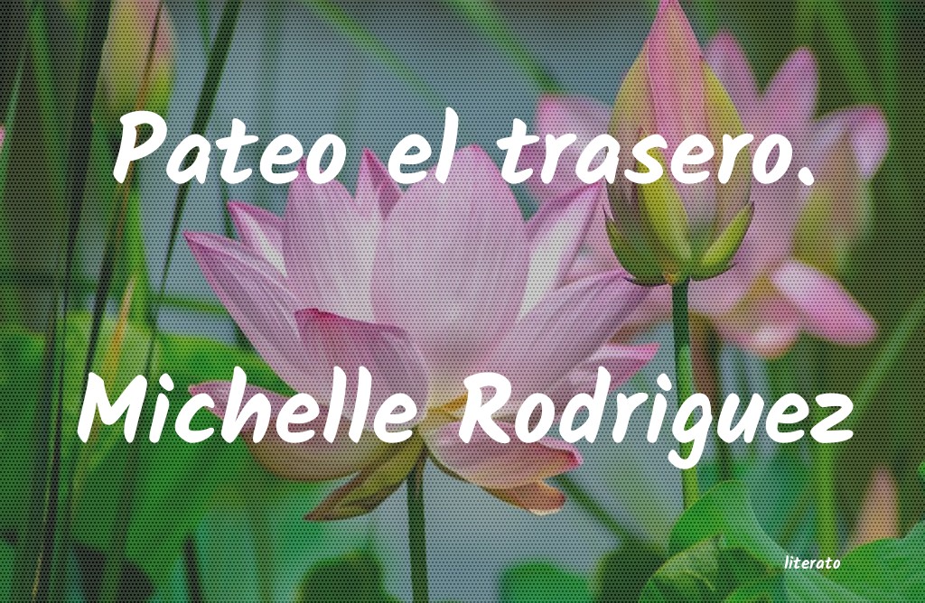 frases de Michelle Rodriguez