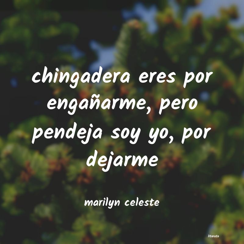 Frases de marilyn celeste