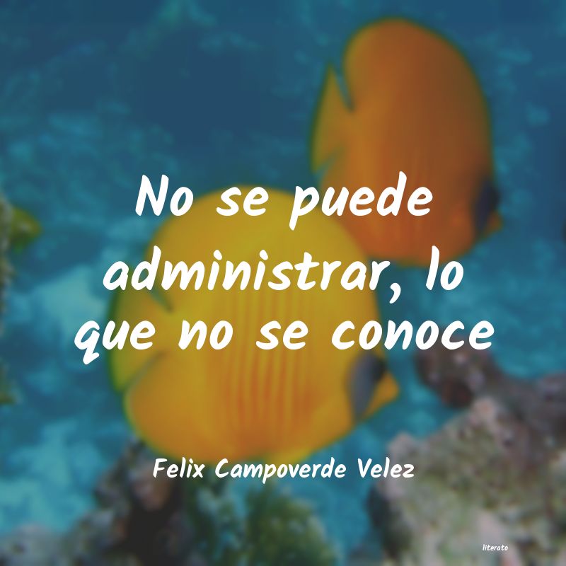 frases de Felix Campoverde Velez